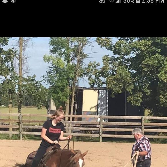 Meet your Posher, Lizi - Picture 1 of 1